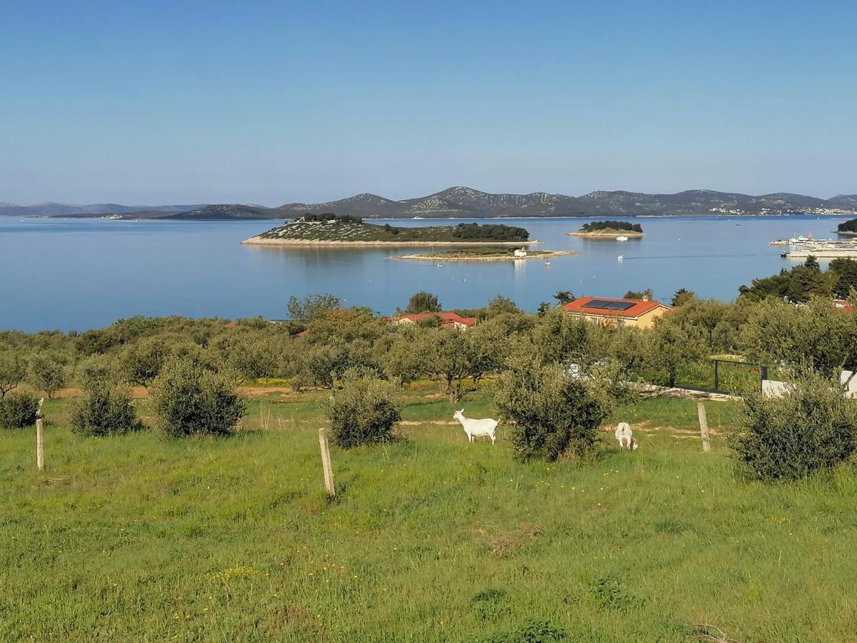 Apartman 2 Punta Pakoštane Eksteriør billede